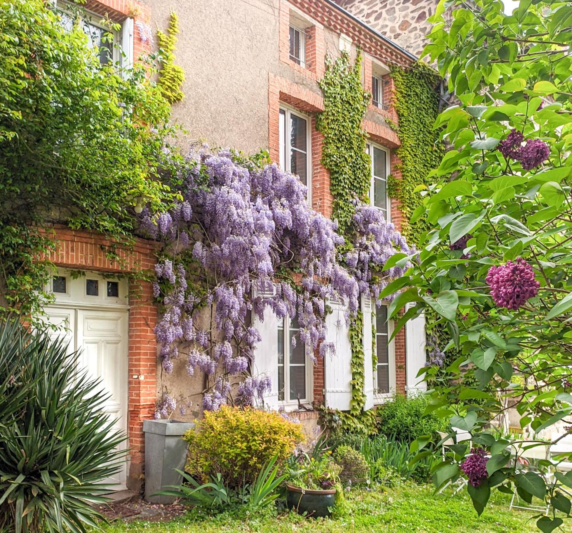 Maison D'Hotes La Bien-Aimee Montrevault Extérieur photo