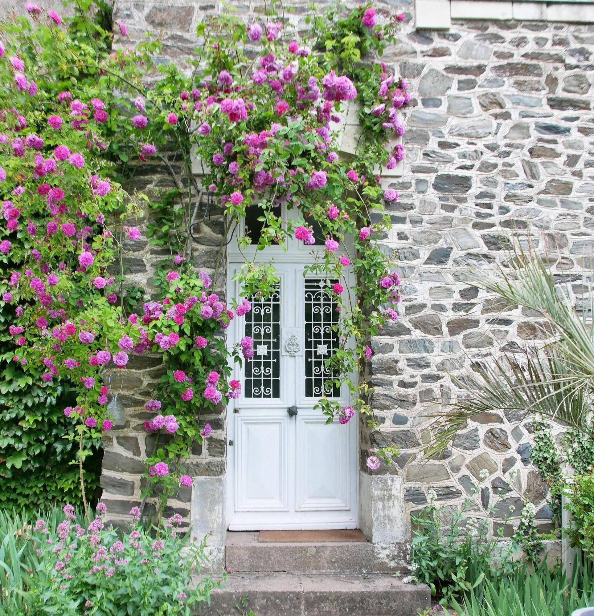 Maison D'Hotes La Bien-Aimee Montrevault Extérieur photo